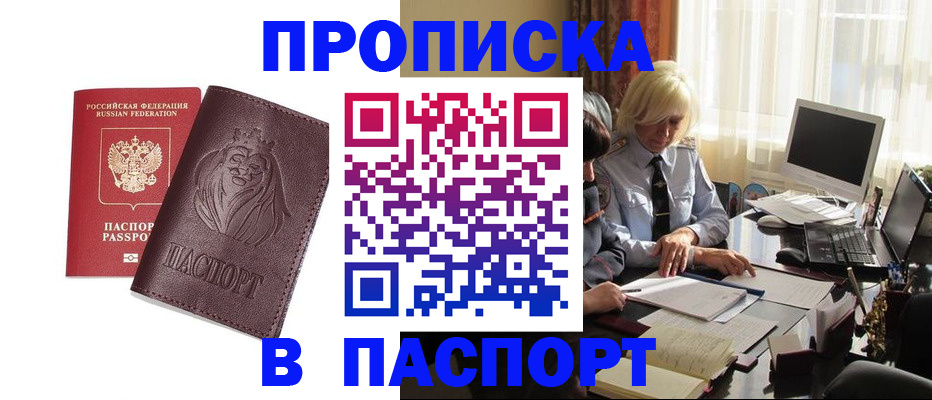 прописка в квартире в Сольцах